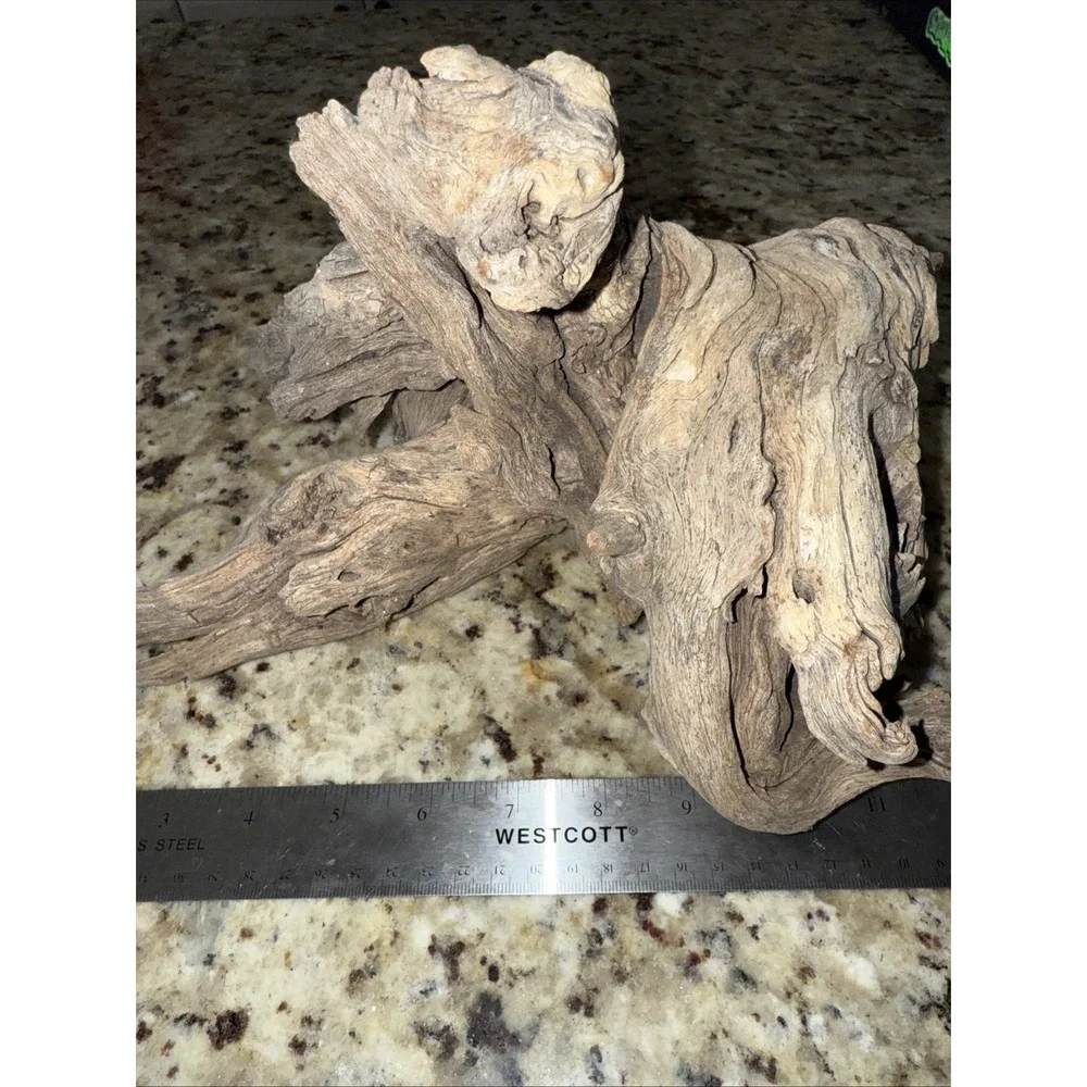 Driftwood taxidermy log super super cool pieceThis very old. Flower arrangement
